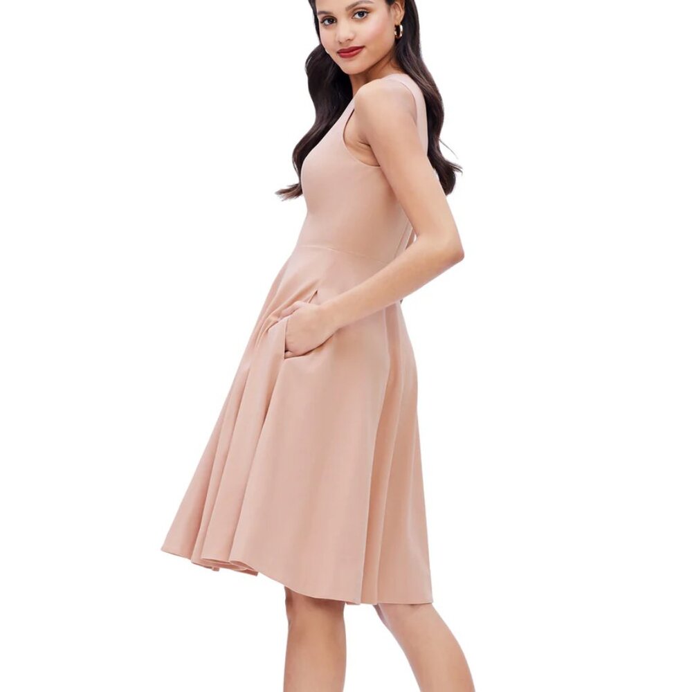 NWT  DRESS THE POPULATION Catalina Dress in Blush Size XS